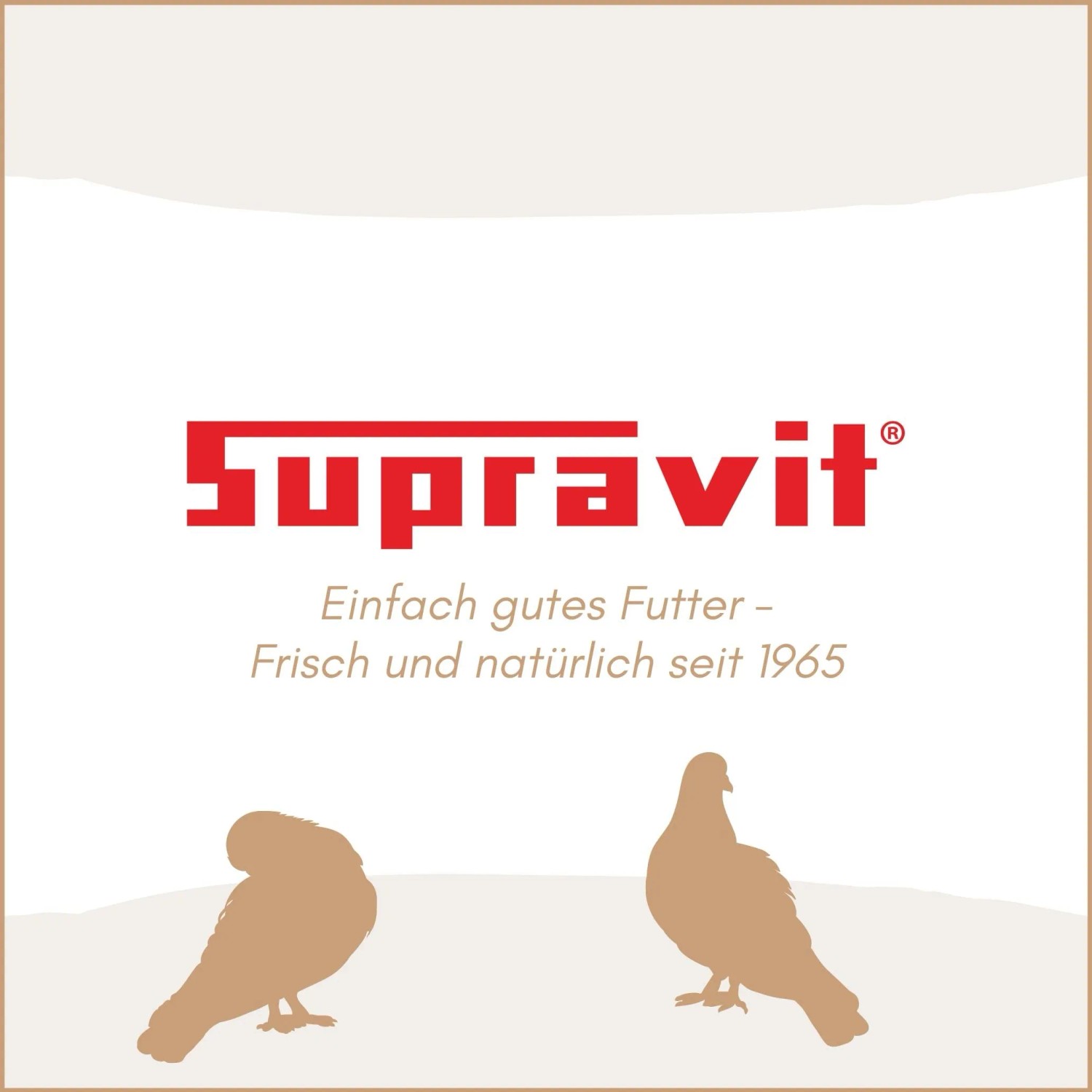 Supravit Super Reisetaubenfutter für Rassetauben_7