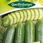 Samenpackung Quedlinburger Freiland Salatgurke 'Konsa', dunkelgrüne, glatte Gurken.