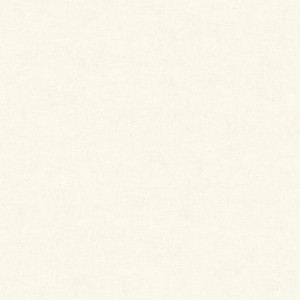 Uni Vliestapete in Matt Weiß mit leichter Struktur, geeignet für Wohnräume.