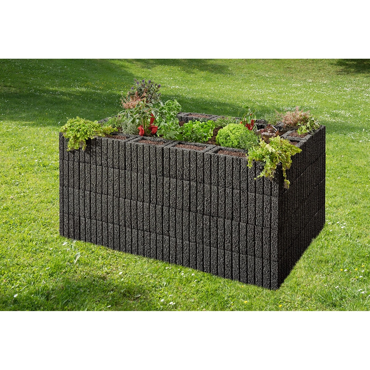 Kann Pflanzstein Mini Anthrazit 30 cm x 20 cm x 20 cm kaufen bei OBI
