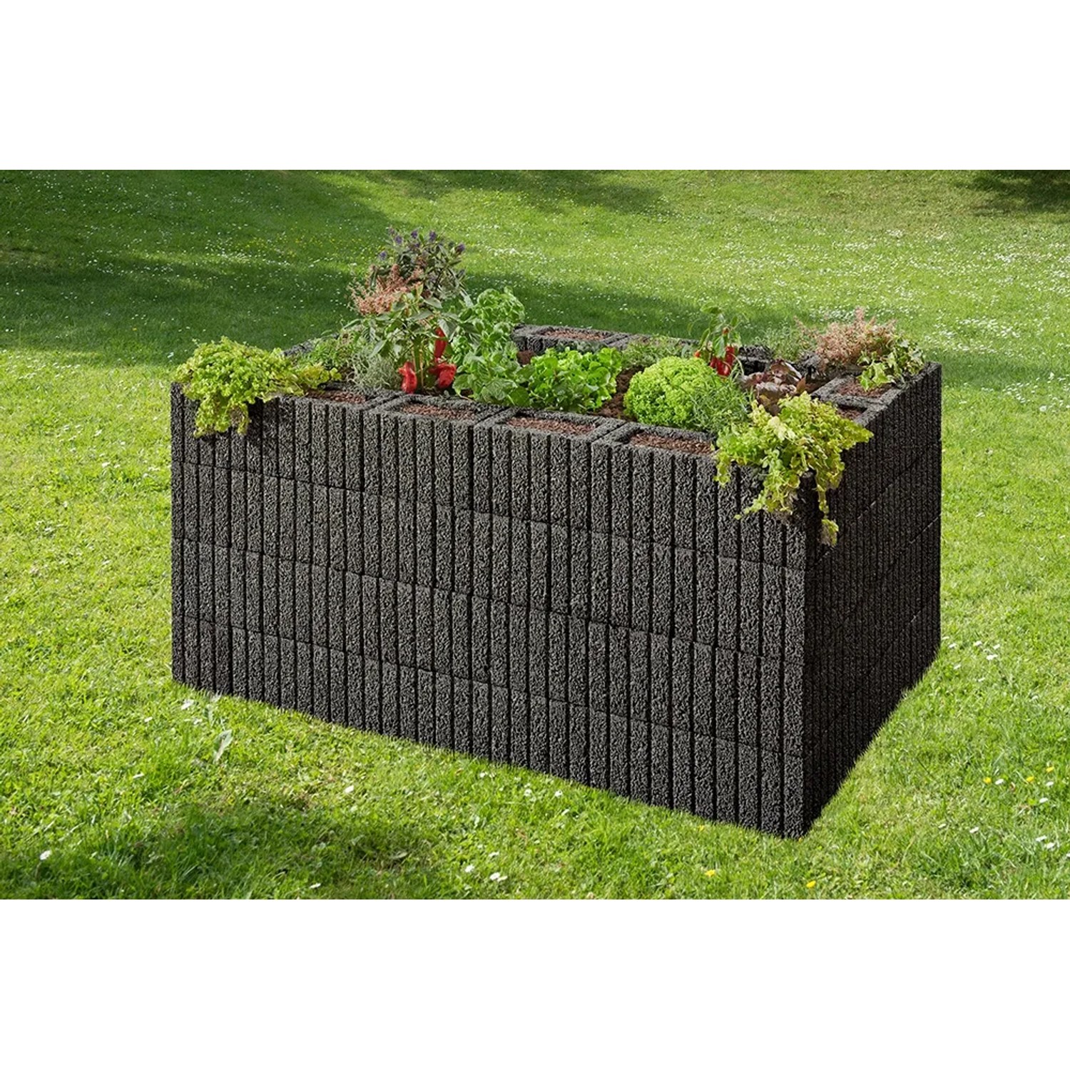 Anthrazitfarbener Mini Pflanzstein als Beetbegrenzung mit Bepflanzung im Garten.