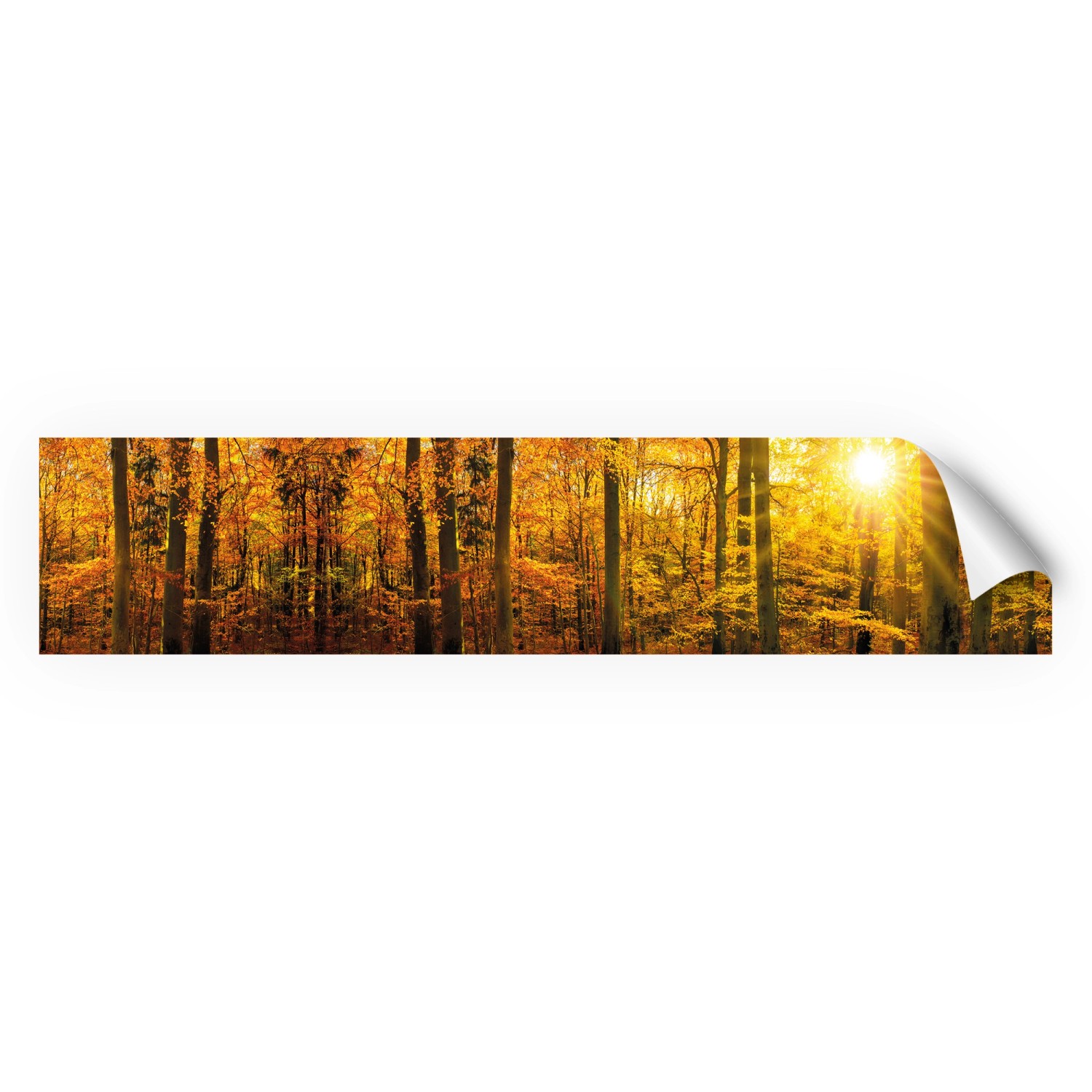 Myspotti Küchenrückwandfolie Herbstwald Selbstklebend 280 cm x 60 cm