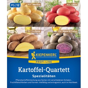 Kiepenkerl Pflanzkartoffel Quartett Spezial.,12 St