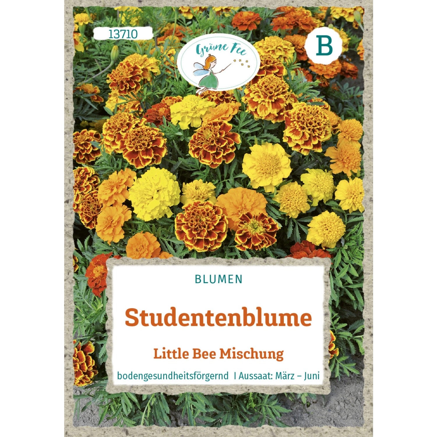 Grüne Fee Studentenblume Little Bee Mischung Saatgut günstig online kaufen