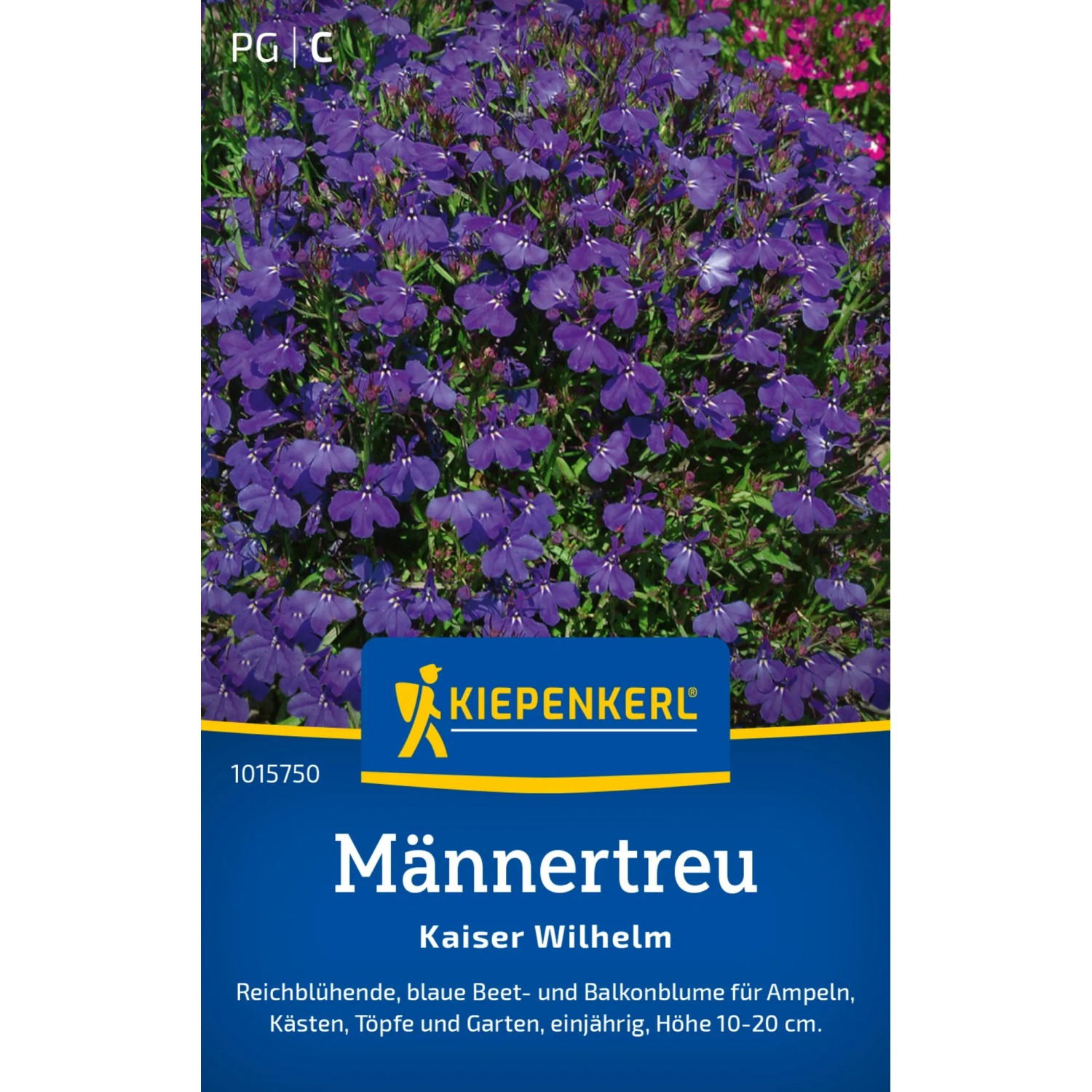 Kiepenkerl Männertreu "Kaiser Wilhelm" Mehrfarbig