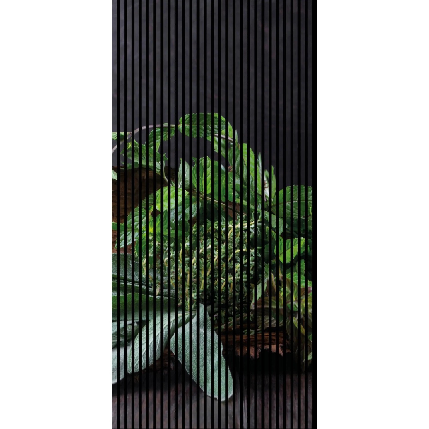 FN Acustico Akustikplatte Kräuter 1 PET u. MDF Foliert 1.133 x 19 x 2.400 mm