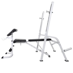 vidaXL Hantelbank mit Ablage und Langhantel und Kurzhantel-Set 120 kg 275376