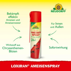 Neudorff Loxiran Ameisenspray 300ml zur Bekämpfung von Ameisen im Haus und Garten.