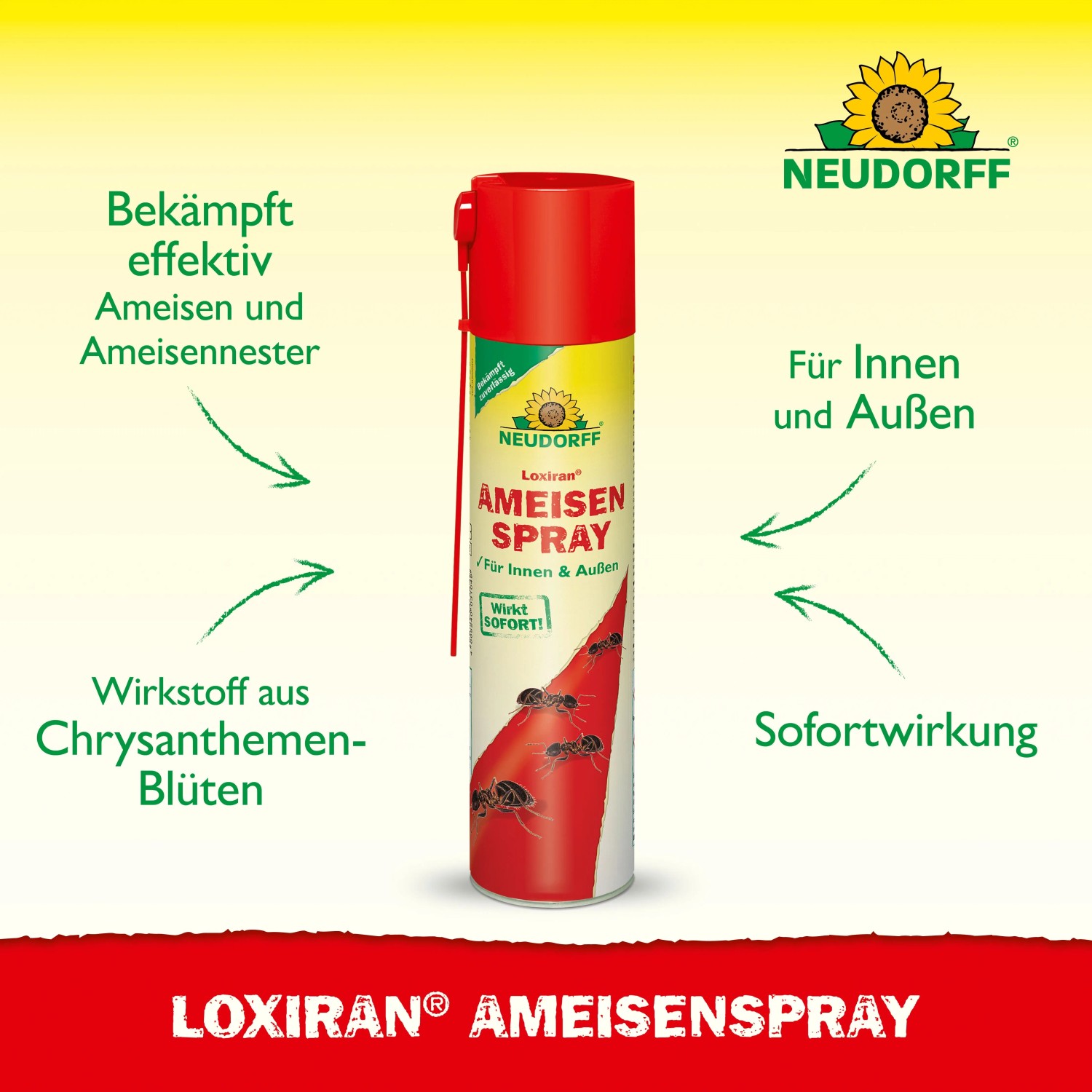 Neudorff Loxiran Ameisenspray 300ml zur Bekämpfung von Ameisen im Haus und Garten.