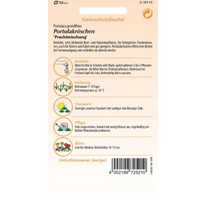 SAMEN PFANN Portulakröschen Prachtmischung
