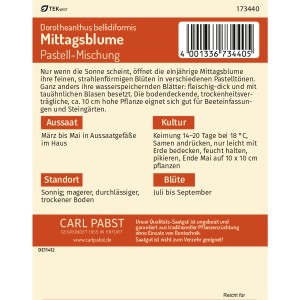 Pabst Keimkraft Mittagsblume Pastell-Mischung Saatgut Packung