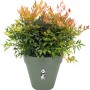 Elho Blumentopf Loft Urban Rund, Ø 48,5 cm, Pistaziengrün, mit Rollen. Pflanzkübel für den Außenbereich.