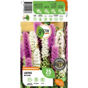 Packung GROW by OBI Liatris Mischung, Blumenzwiebeln mit lila und weißen Blütenähren.