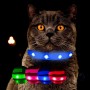 Dunkelgraue Katze trägt blaues Leuchthalsband. Grüne, pinke, rote Farboptionen. USB aufladbar für Sichtbarkeit bei Nacht.