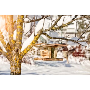 Vogelfuttersilo Chalet aus Holz mit Spatz im Wintergarten.