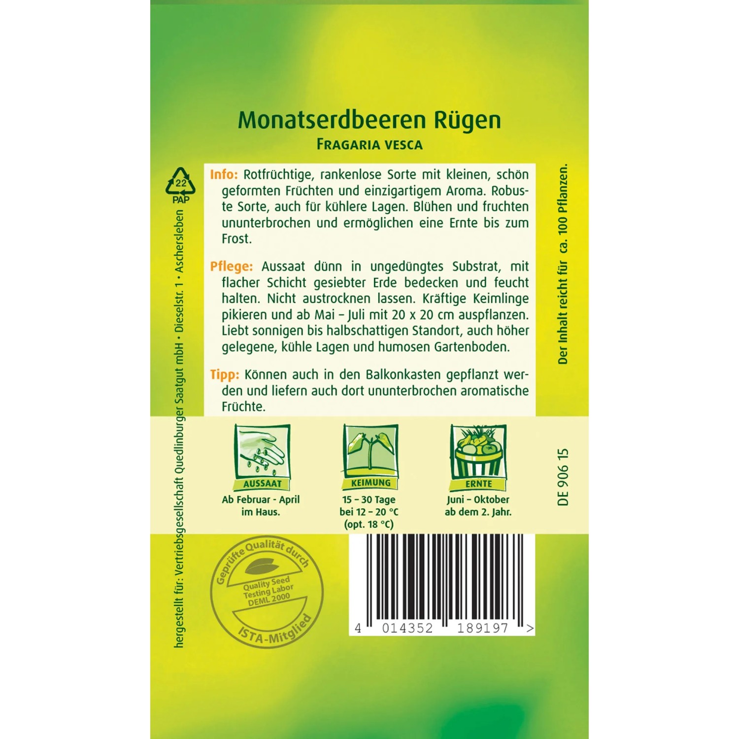 Samentüte Quedlinburger Monatserdbeere 'Rügen', rotfrüchtige Sorte für Beet, Balkon & Hochbeet.