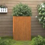 Hoher, rechteckiger Pflanzkübel aus rostigem Cortenstahl mit grüner Pflanze. Ideal für Garten, Balkon & Terrasse.
