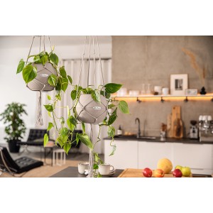 Lechuza Makramee Hängeampel Cotton Pure Natur, 22x14 cm, mit Pflanzen in modernem Wohnraum.