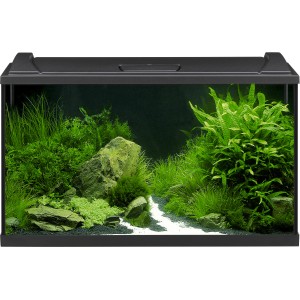 Schwarzes Eheim Aquarium-Set Aquapro LED 126 l mit Pflanzen und Dekoration.