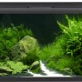 Schwarzes Eheim Aquarium-Set Aquapro LED 126 l mit Pflanzen und Dekoration.