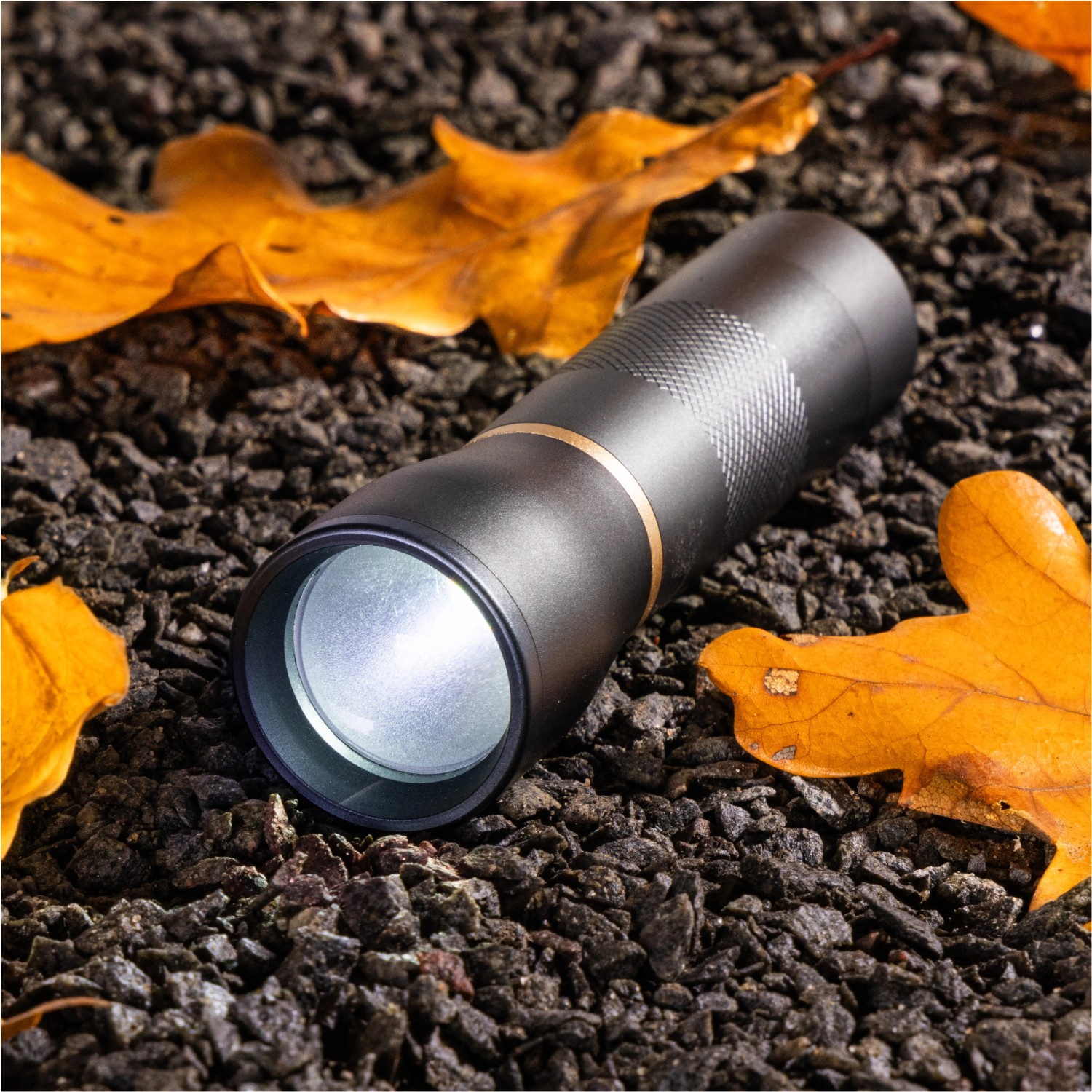 LED's Work Taschenlampe, dimmbar und zoombar, auf dunklem Untergrund mit Blättern.