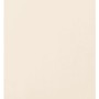 Bestlivings Flächenvorhang Ellen, beige, ohne Zubehör. Moderner Fenstervorhang für Wohnraum.