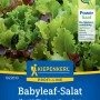 Kiepenkerl Pflücksalat Babyleaf Maraldi Mix Samen, grüne und rote Blätter.