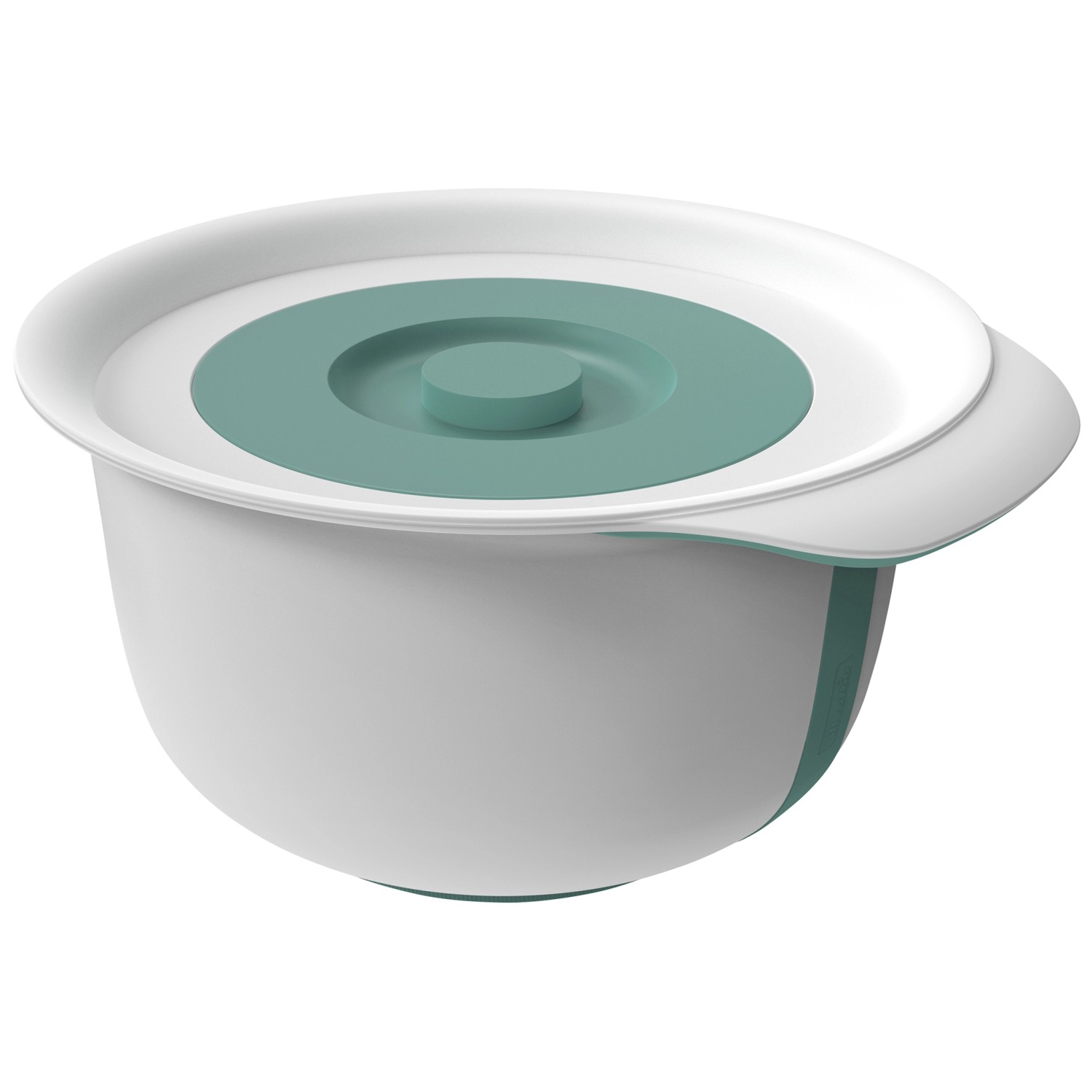 Rotho Backschüssel-Set Fresh Mistletoe Green 2-teilig