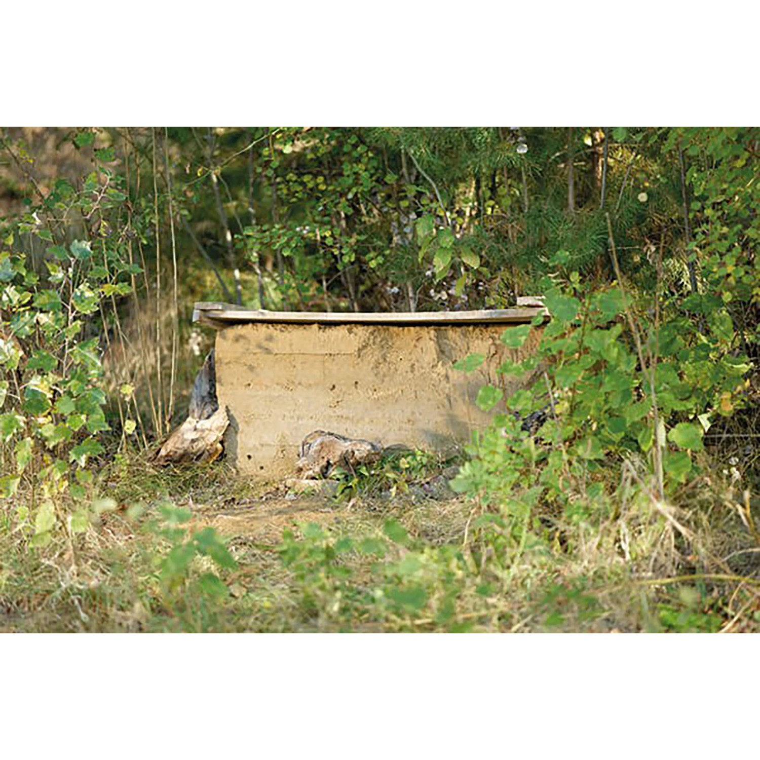 Scherf Sandarium für Wildbienen Braun 0 mm - 3 mm 1.000 kg Tandem-Bags