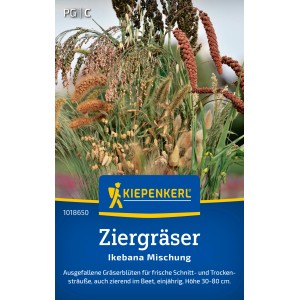 Kiepenkerl Ziergräser Ikebana Mischung, verschiedene Gräser und Blütenstände in Braun- und Grüntönen.