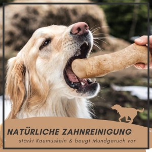 Supravit Kaffeeholz Kauknochen Größe M  Kauspielzeug für Hunde