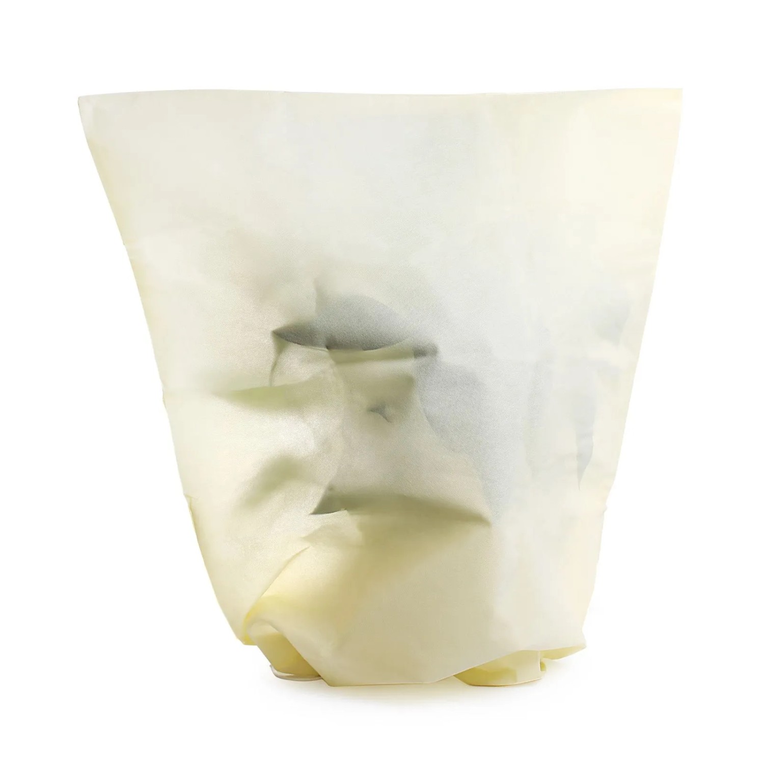 Toboli 2X Winterschutz Pflanzen 120X180Cm 70G/M² Frostschutz Vlies Schutzhaube