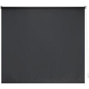 Graues Tageslicht-Rollo Zamora, 100x175 cm, für Sichtschutz ohne Verdunkelung.