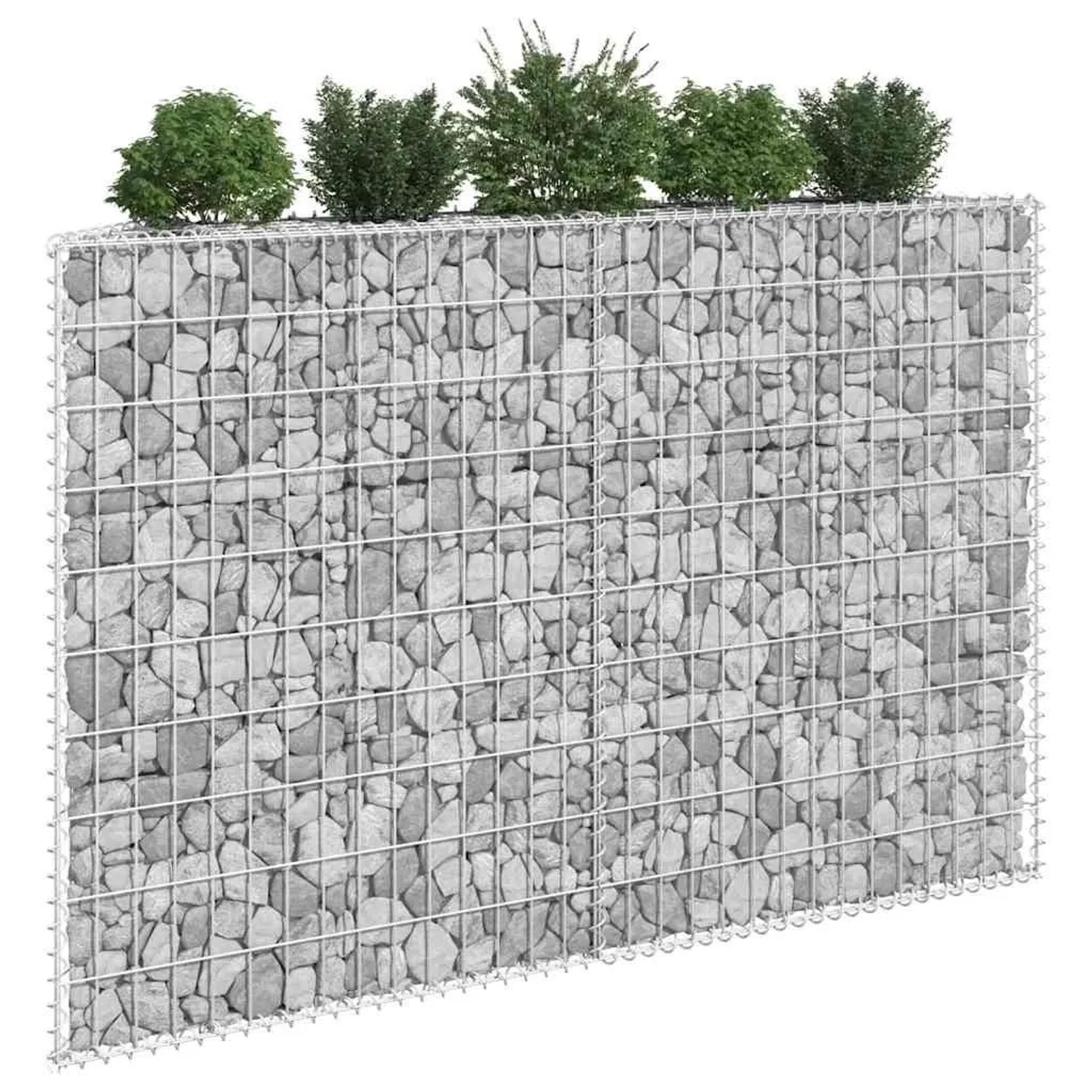 furnicato Gabionen-Hochbeet Trapez, verzinkter Stahl, 150x20x100 cm, befüllt mit Steinen und bepflanzt.