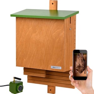 Brauner Fledermauskasten mit grünem Dach, Kamera und Smartphone-App zur Fledermausbeobachtung im Garten.