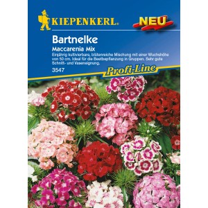 Kiepenkerl Nelke Maccarenia Mix, mehrfarbig. Blumensamen-Packung mit Nelken in verschiedenen Farben.