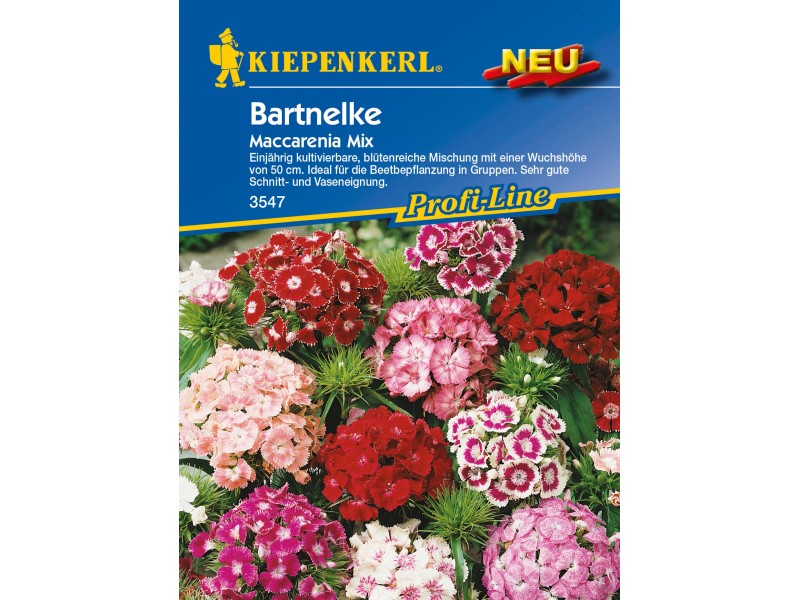 Nelken Samen bei OBI Alles für Heim, Haus, Garten und Bau
