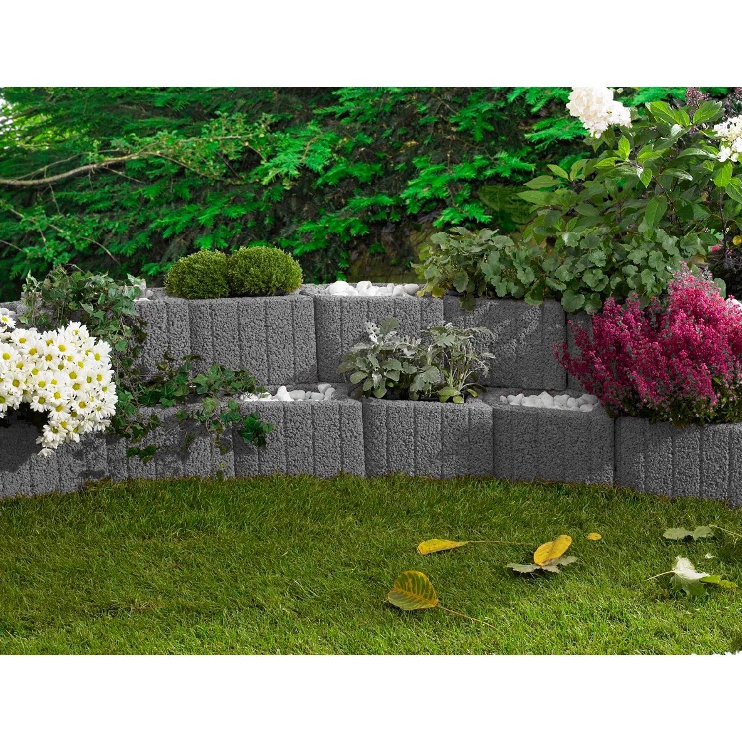Graue Kann Pflanzsteine Mini Plus als dekorative, bepflanzte Gartenmauer.