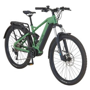Resedagrün mattes Prophete E-Bike SUV Stack 5.0 Full-Suspension mit Gepäckträger und grobstolligen Reifen.