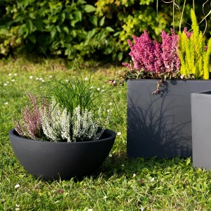 Anthrazit Pflanzwerk Pflanzschale Bowl Premium 28 cm mit Bepflanzung im Garten.