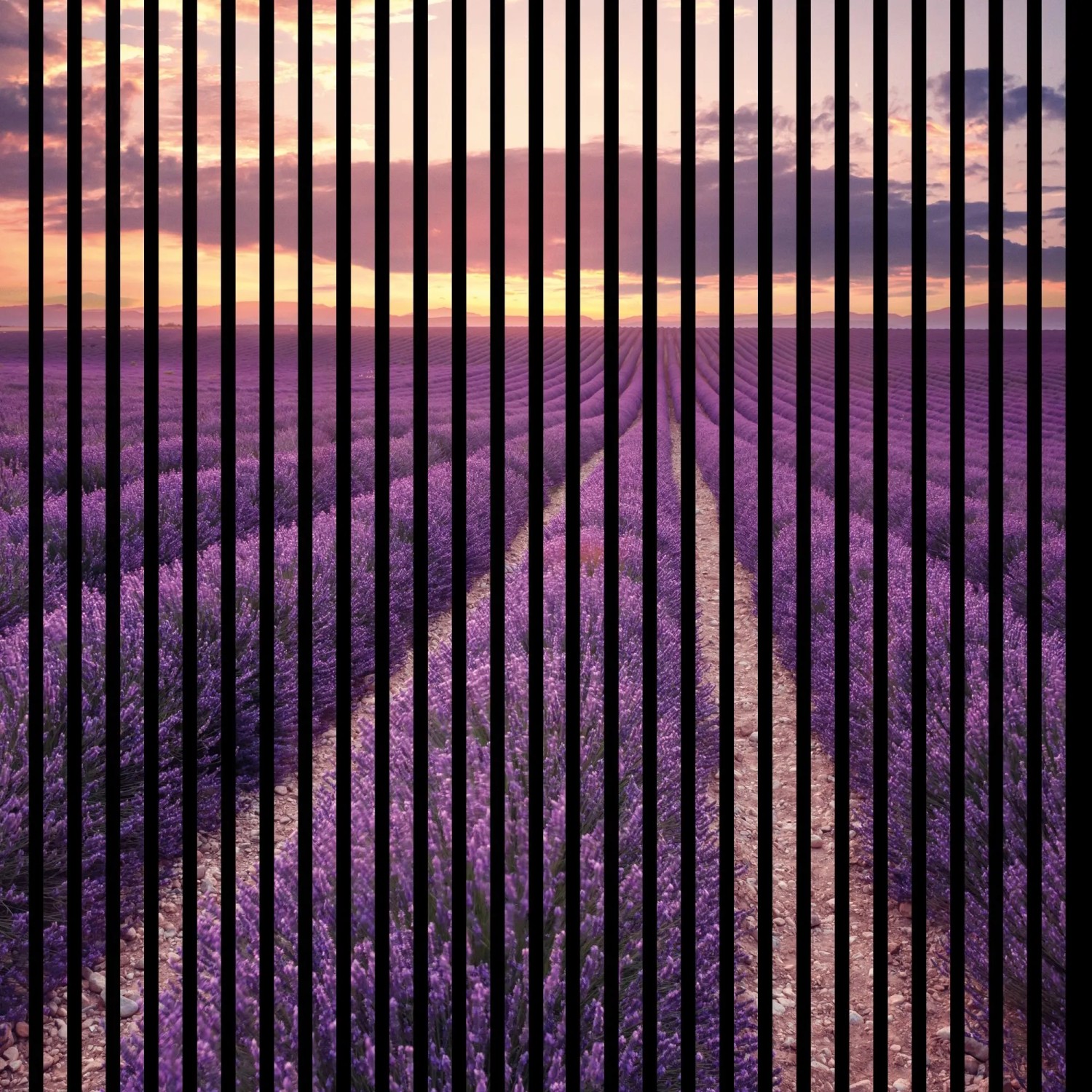 FN Acustico Akustikplatte Lavendel 1 PET u. MDF Foliert 1.133 x 19 x 1.195 mm