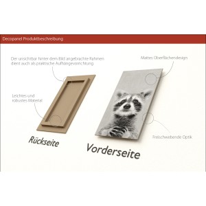 Pro Art Dekopanel Young Racoon, 30x15cm, zeigt Vorder- und Rückseite des Bildes.