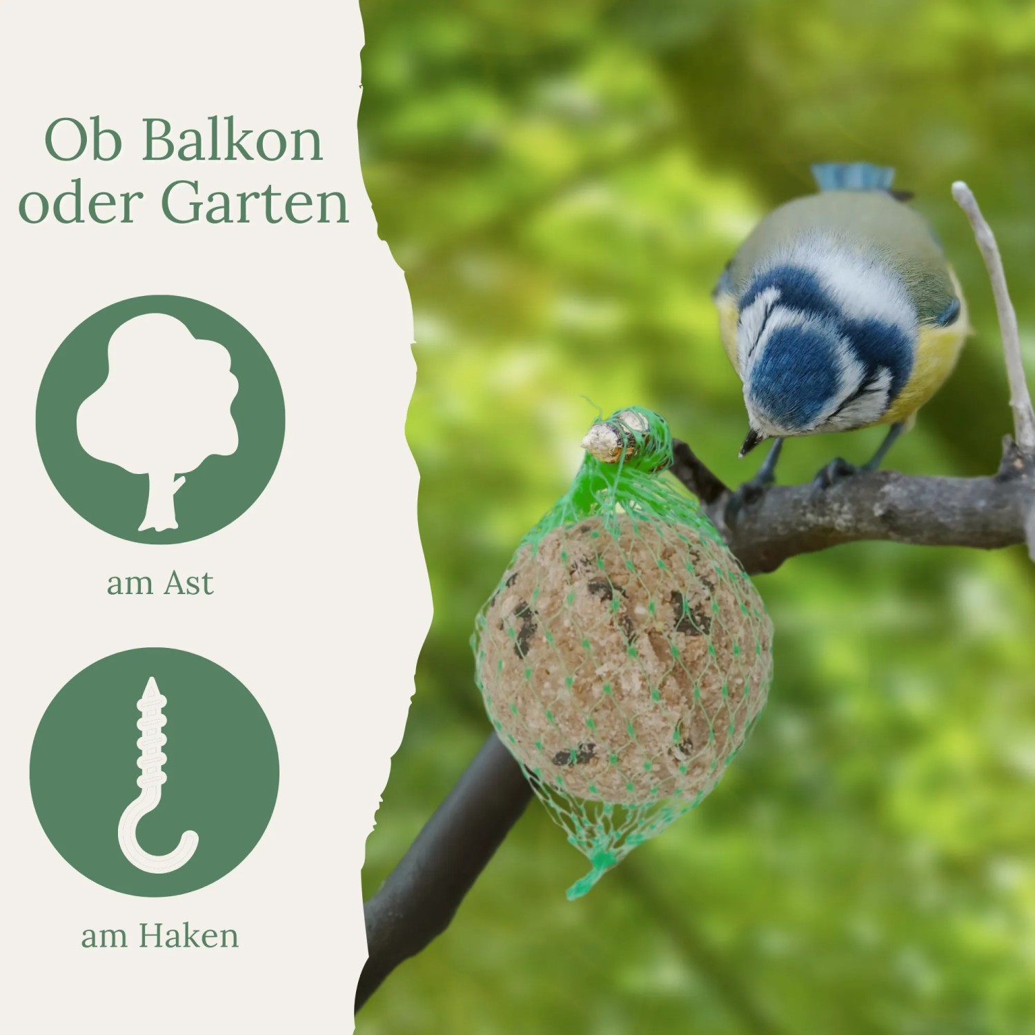Orni Meisenknödel im Netz mit Sonnenblumenkerne für Wildvögel_12