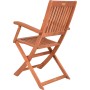 Braunes Garden Pleasure Klapparmstuhl-Set Seattle (2 Stk.) aus FSC®-zertifiziertem Eukalyptusholz, Rückansicht.