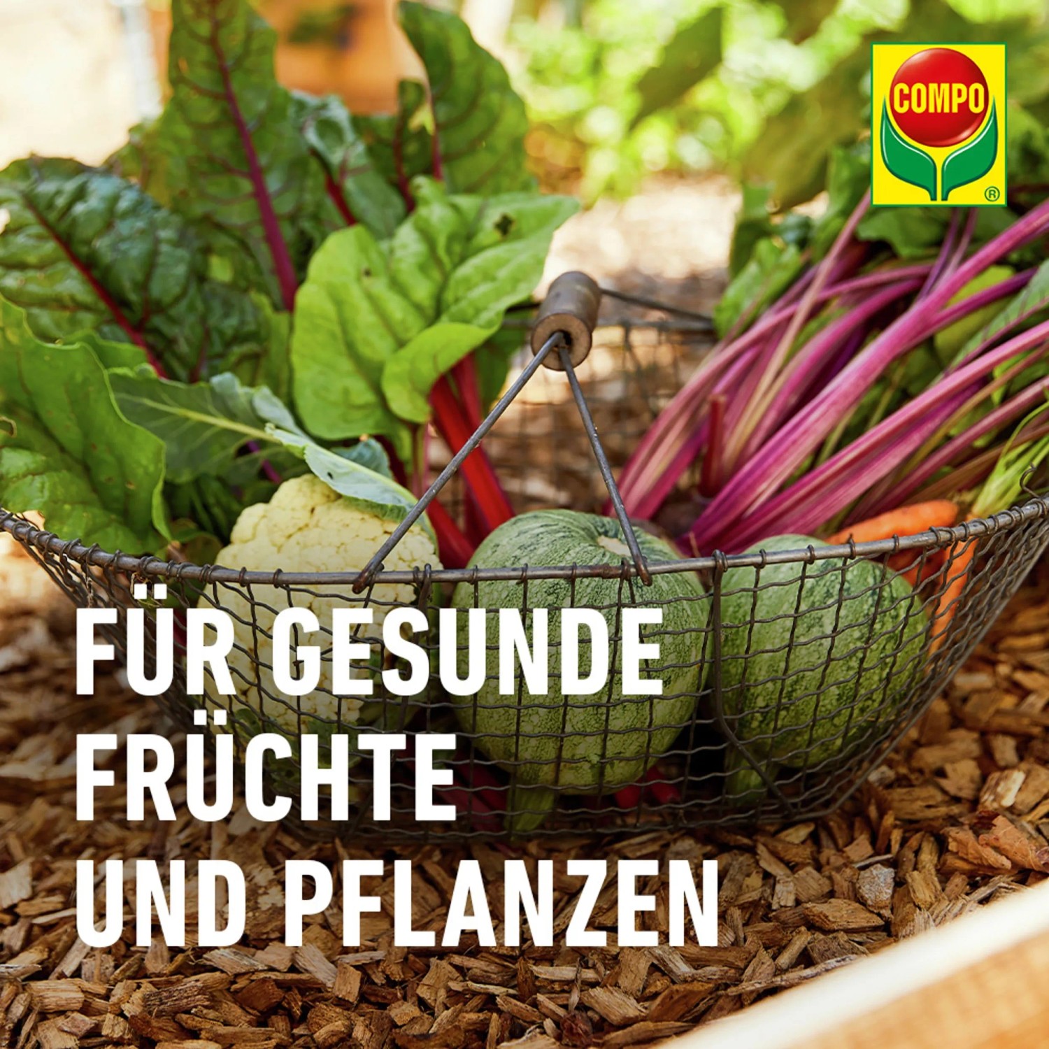 Gemüse und Kräuter im Korb, angebaut mit Compo Bio Universal-Erde.
