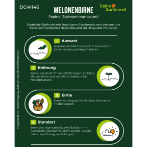 Dunkelgrüne Infografik mit Anbauanleitung für Birnenmelone Pepino Samen: Aussaat, Keimung, Ernte, Standort.