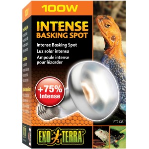 Exo Terra Intense Basking Spot 100W Wärmelampe für Reptilien, zur Erzeugung von Wärmeplätzen im Terrarium.