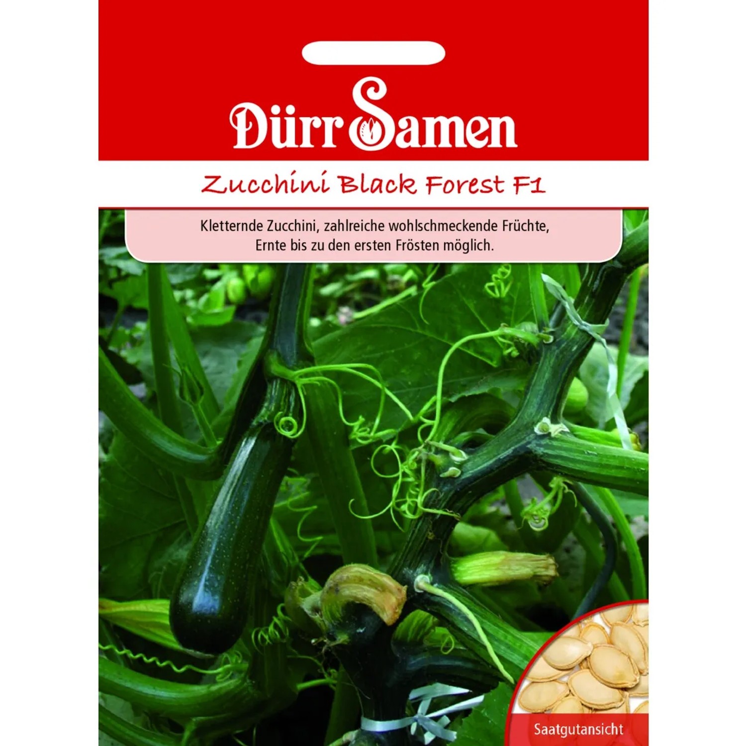 Dürr Samen Zucchini Black Forest F1 Saatgut