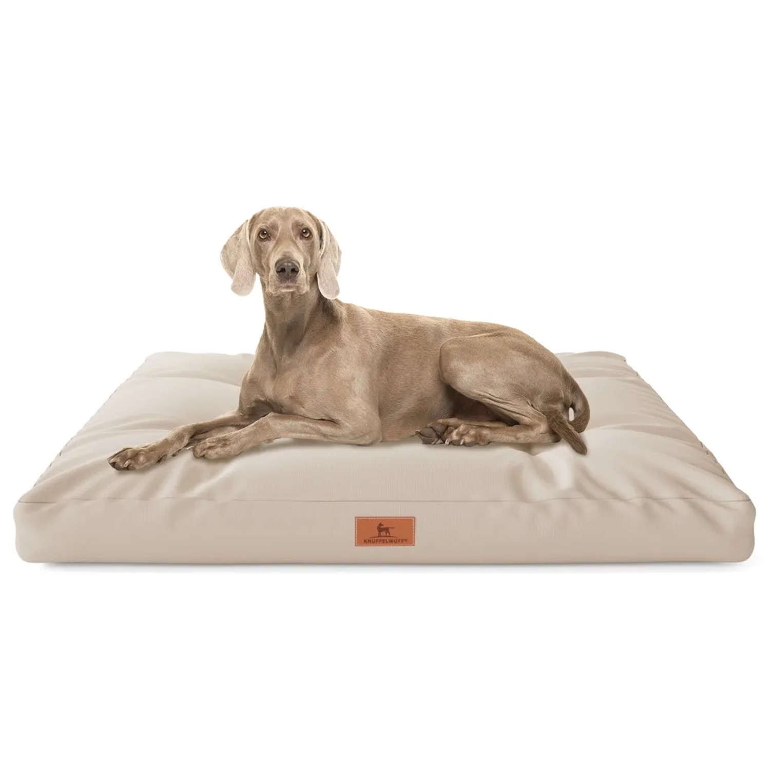 Beiges Knuffelwuff Hundekissen Gatsby Cordura (65x90cm) mit Hund.