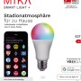 Just Light Smart Light Mika E27 LED-Lampe mit App-Steuerung für Stadionatmosphäre.